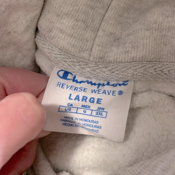 Champion hoodie - Cinnamon Toast Crunch, size Large - Picture 3 of 4